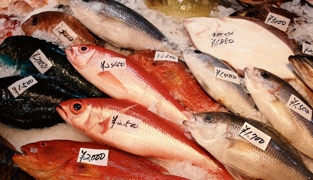 夏に旬なお魚 その 特徴 や 美味しい提供方法 は 個人店のミカタfor仕入れ